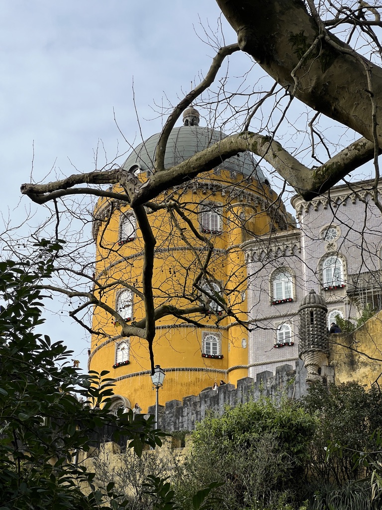 Egyéb fotó